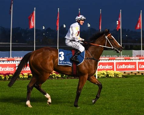 Railway Stakes Field – 2021 .